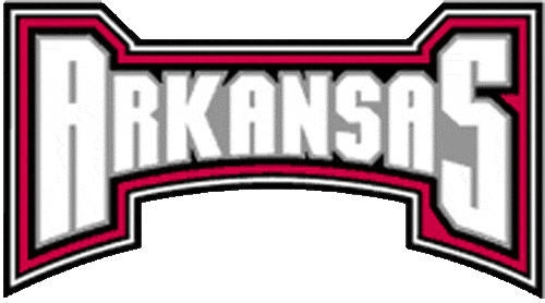 Arkansas Razorbacks 2001-2008 Wordmark Logo t shirts iron on transfers v6